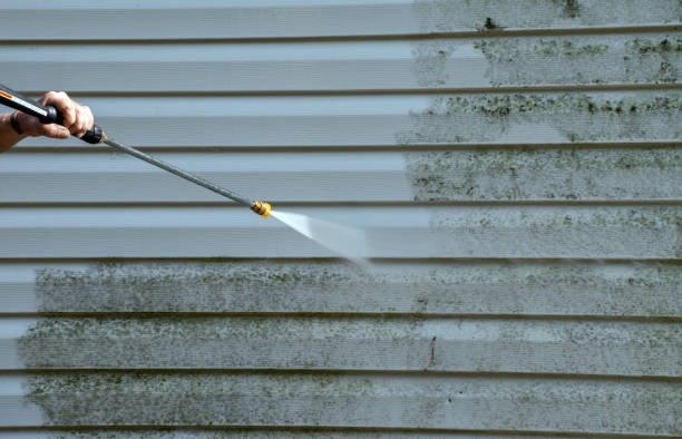 Best Certified Mold Removal  in Mazomanie, WI