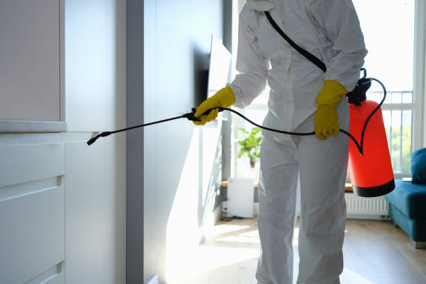 Crawl Space Mold Removal in Mazomanie, WI