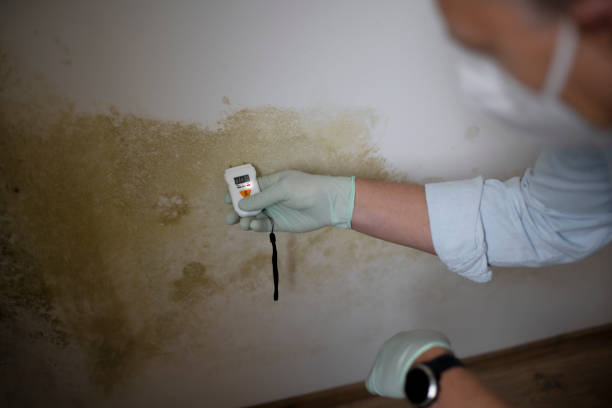 Best Emergency Mold Removal  in Mazomanie, WI